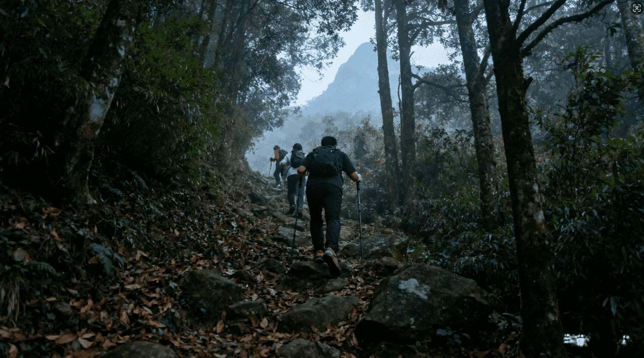 详细指南：佛跳墙加速器的安装步骤及操作流程
